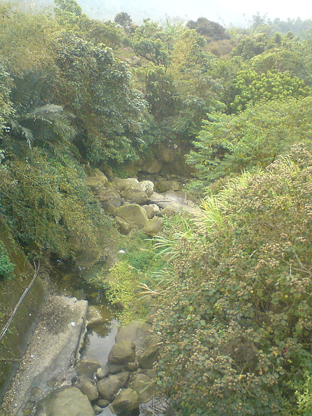 DSC06226.JPG