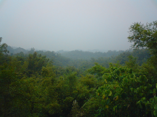 DSC06214.JPG