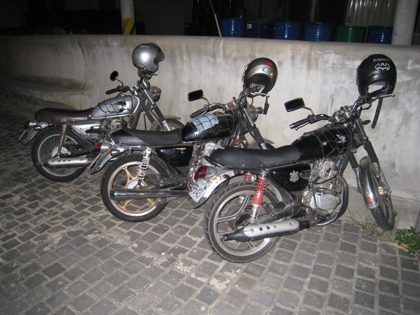 IMG_3865.jpg