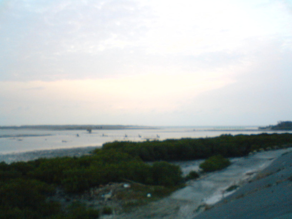 DSC05716.JPG