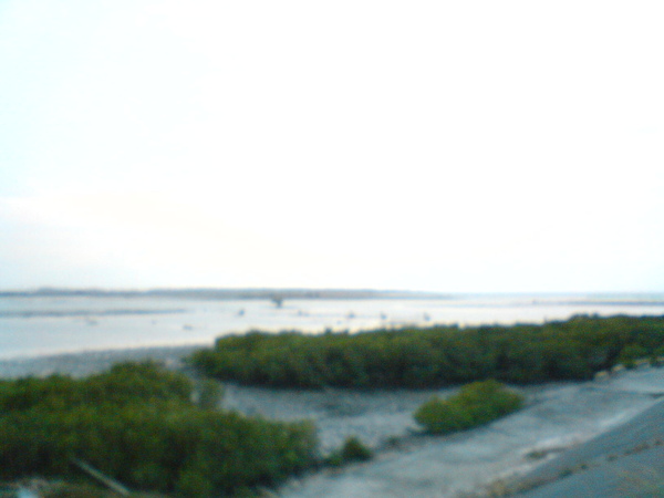 DSC05717.JPG