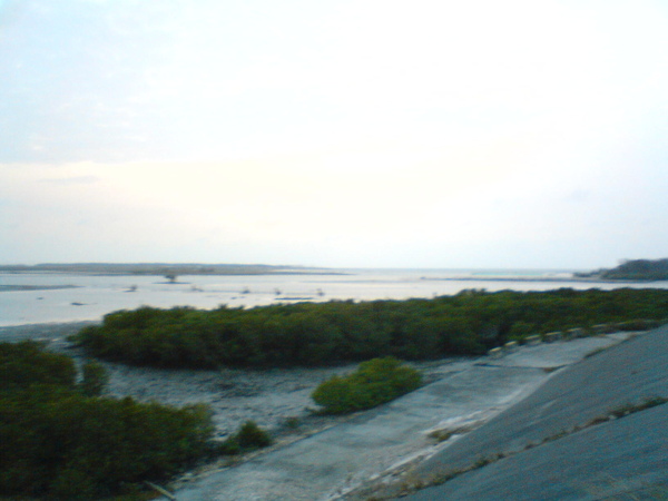 DSC05718.JPG