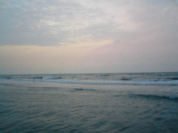 DSC05726.JPG