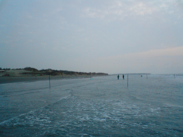DSC05727.JPG