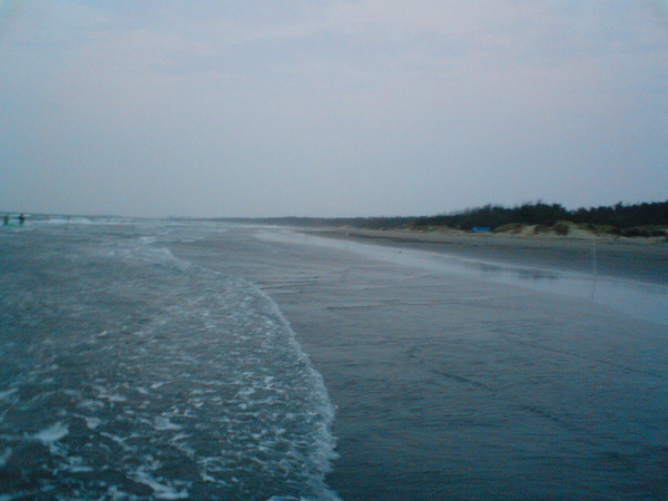 DSC05729.JPG
