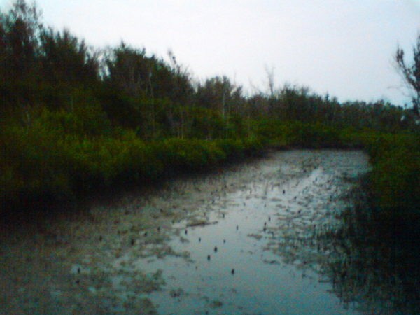 DSC05737.JPG