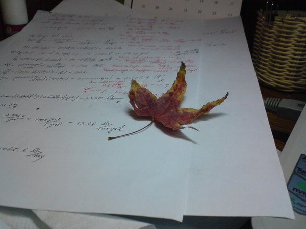 DSC05759.JPG