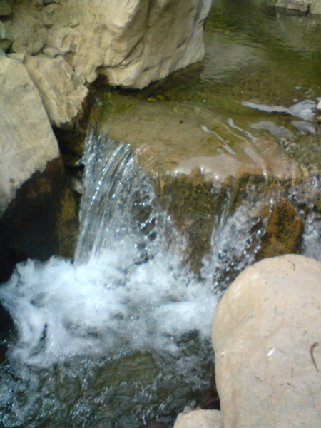 DSC05783.jpg