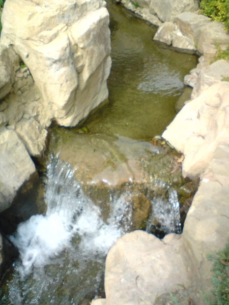 DSC05784.jpg