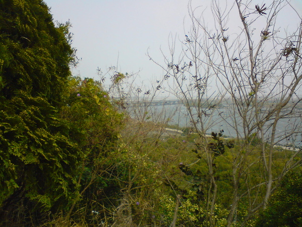DSC05786.JPG