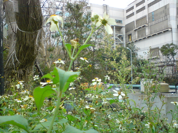 DSC05813.JPG