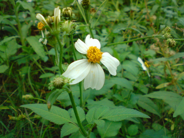 DSC05816.JPG