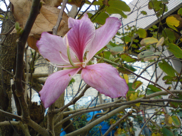 DSC05818.JPG