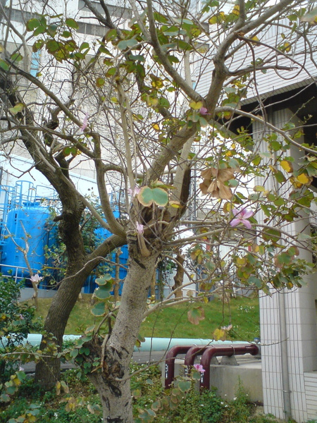 DSC05819.jpg