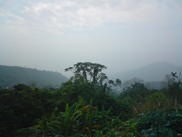 DSC06225.JPG
