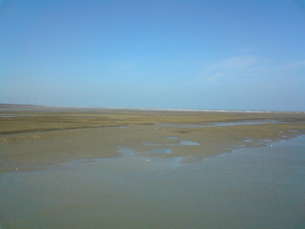 DSC05964.JPG