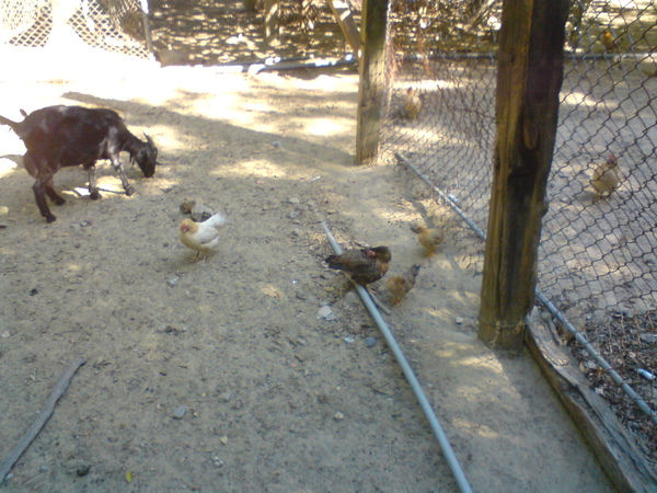DSC05979.JPG