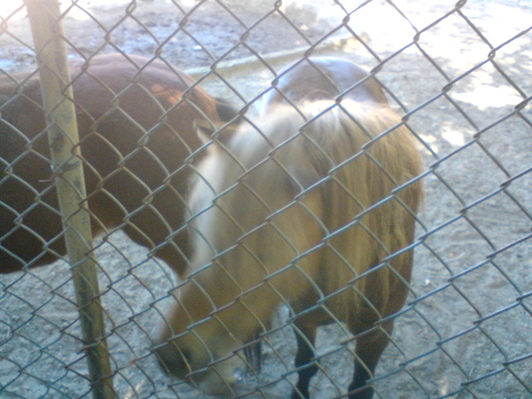 DSC05980.JPG