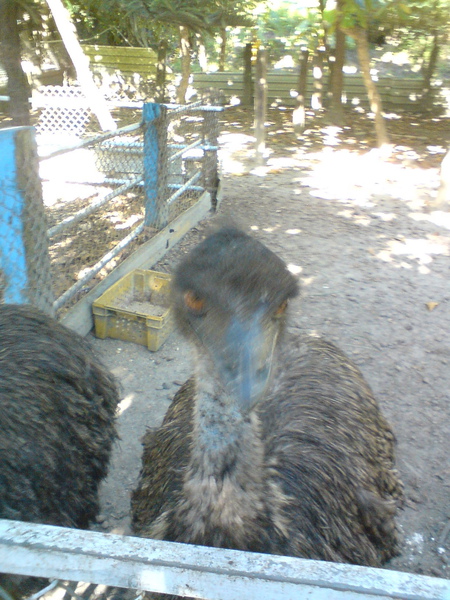 DSC05985.jpg