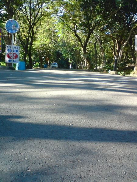 DSC05988.jpg