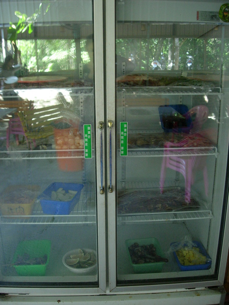 DSCN3528.JPG