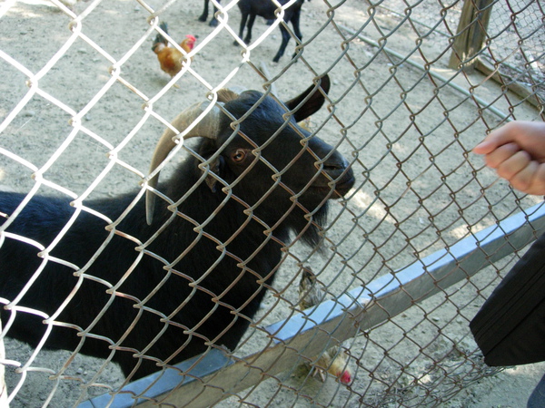 DSCN3542.JPG