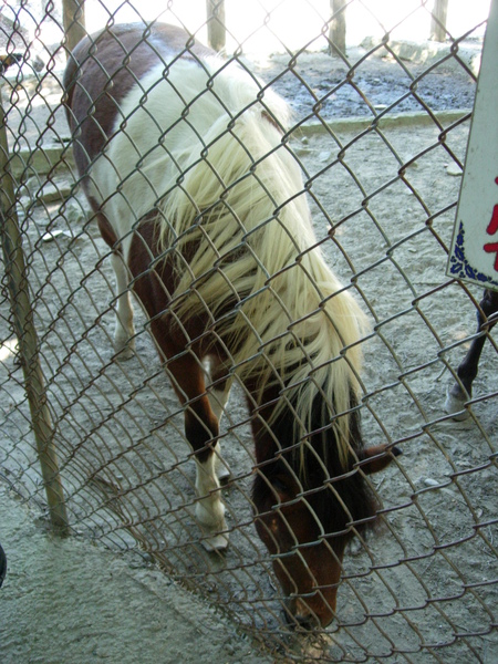 DSCN3545.JPG