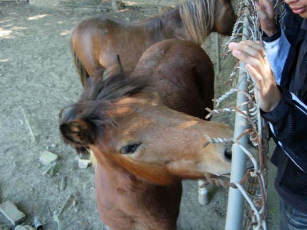 DSCN3548.JPG