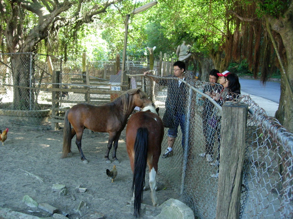 DSCN3551.JPG
