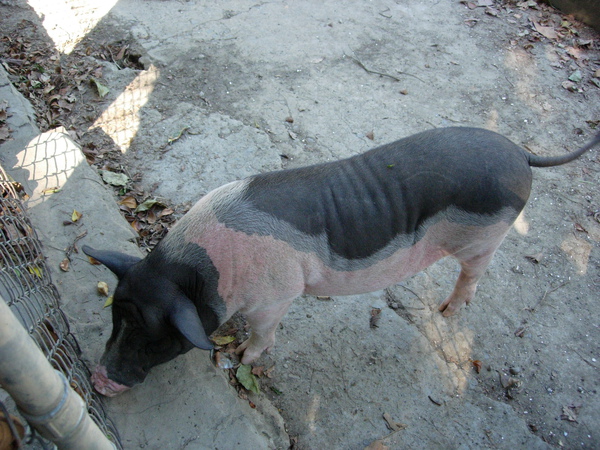 DSCN3552.JPG