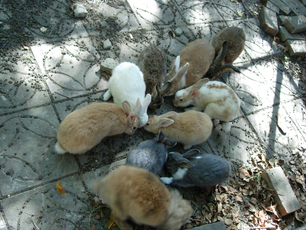 DSCN3555.JPG