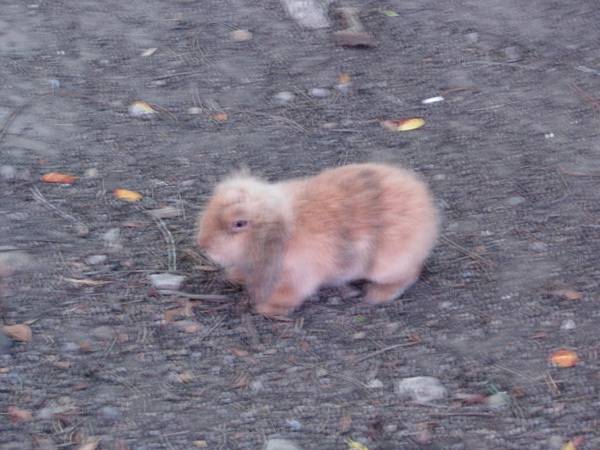 DSCN3559.JPG
