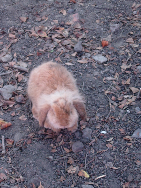DSCN3565.JPG