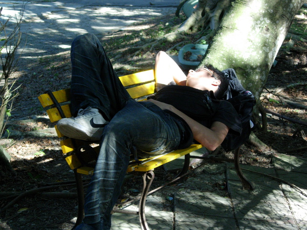DSCN3568.JPG