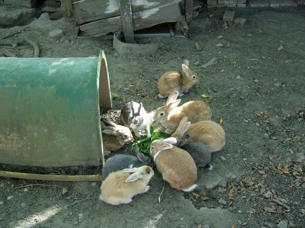 DSCN3569.JPG