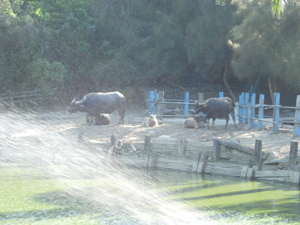 DSCN3575.JPG