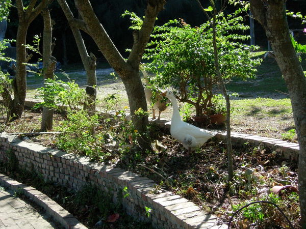 DSCN3577.JPG