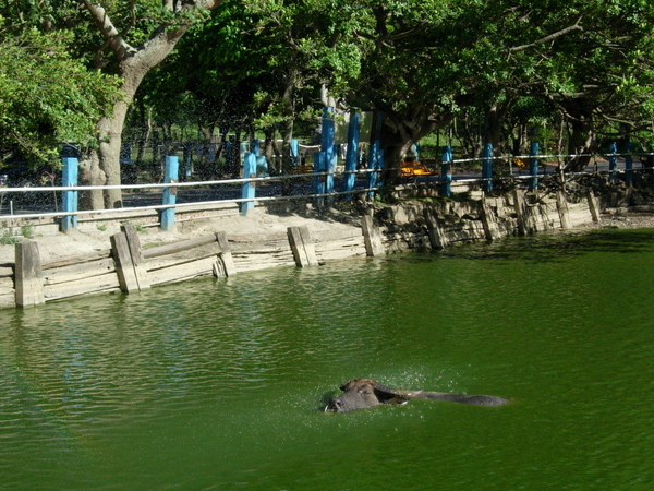 DSCN3578.JPG