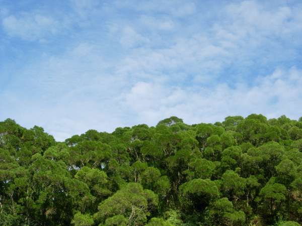 DSCN3580.JPG