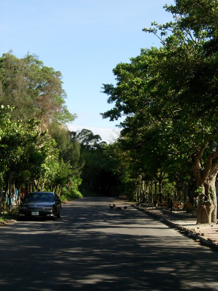 DSCN3581.JPG