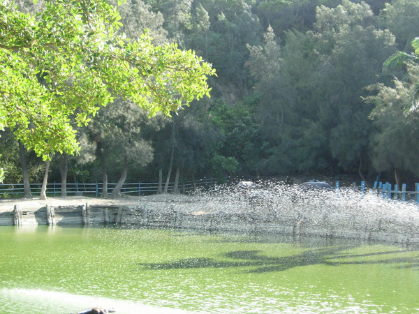 DSCN3583.JPG