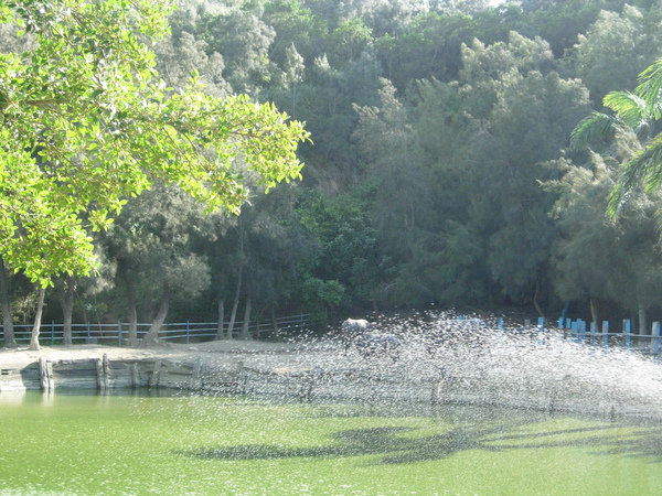 DSCN3584.JPG