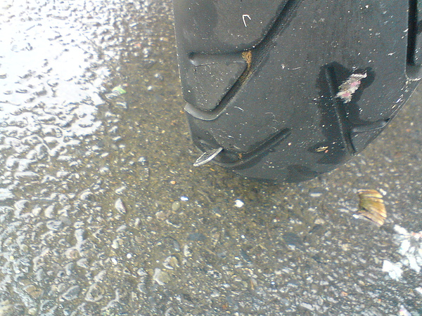 DSC06113.JPG