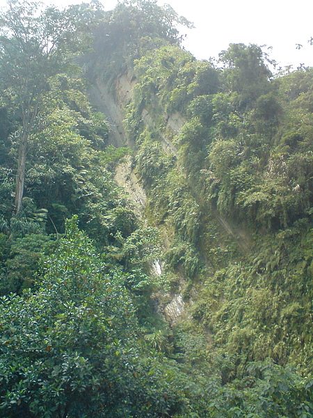 DSC06103.jpg