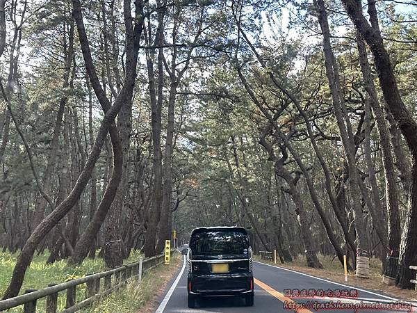 IMG_7589_1.JPG IMG_7589_1.JPG