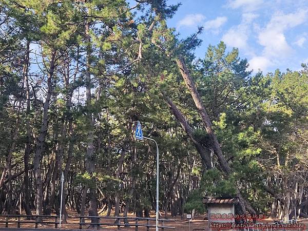 IMG_20221201_150217.jpg IMG_20221201_150217.jpg