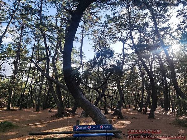 IMG_20221201_150813.jpg IMG_20221201_150813.jpg