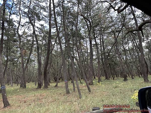 IMG_7588.JPG IMG_7588.JPG