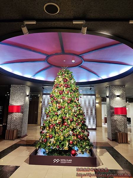 IMG_20221201_181115.jpg IMG_20221201_181115.jpg