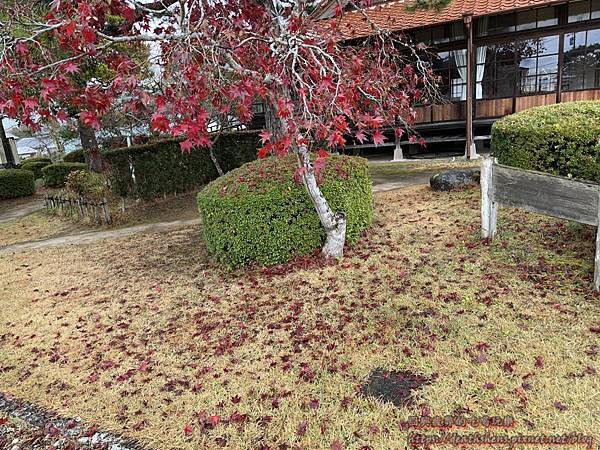 【景點】【日本佐賀】西溪公園、佐賀城(百大名城)